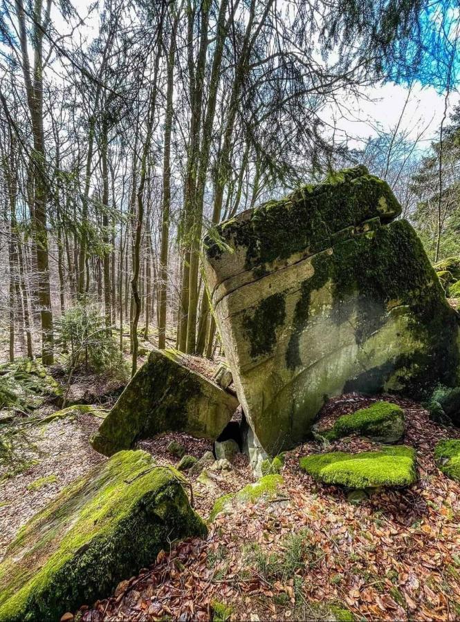 Blick Punkt Appartement Tann  Buitenkant foto